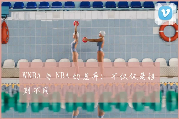 WNBA 与 NBA 的差异：不仅仅是性别不同
