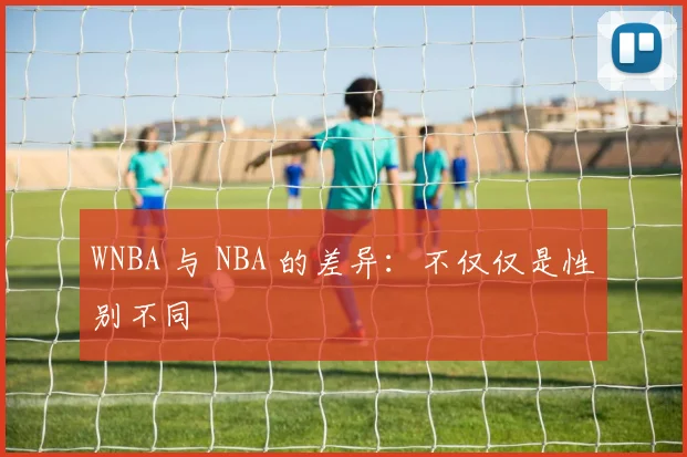 WNBA 与 NBA 的差异：不仅仅是性别不同