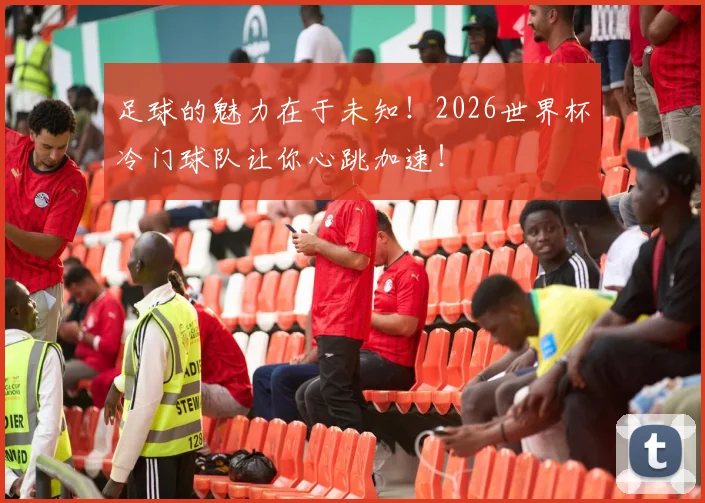 足球的魅力在于未知！2026世界杯冷门球队让你心跳加速！